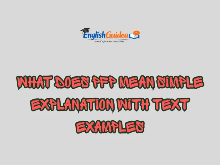 What Does PFP Mean Simple Explanation With Text Examples