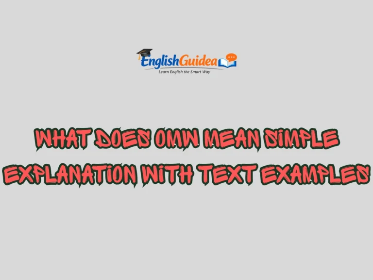 What Does OMW Mean Simple Explanation With Text Examples