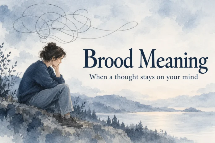 Brood Meaning